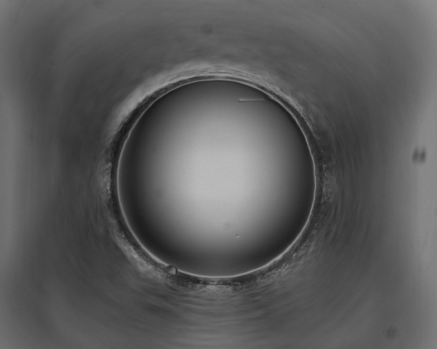 X0000097771503200803071305