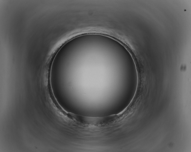 X0000097771504200803071305