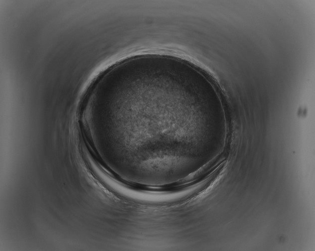 X0000097771506200803071305