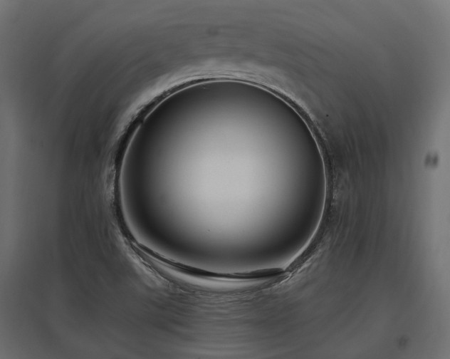 X0000097771507200803071305