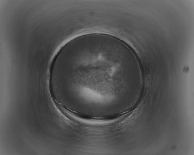 X0000097771508200803071305
