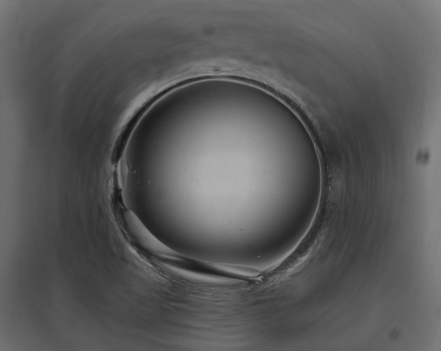 X0000097771509200803071305