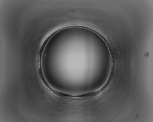 X0000097771510200803071305