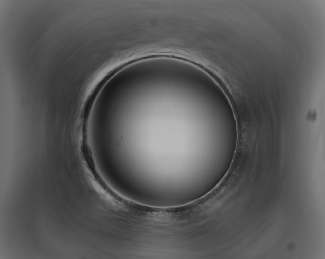 X0000097771511200803071305