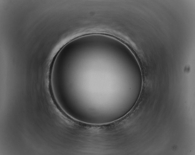 X0000097771512200803071305