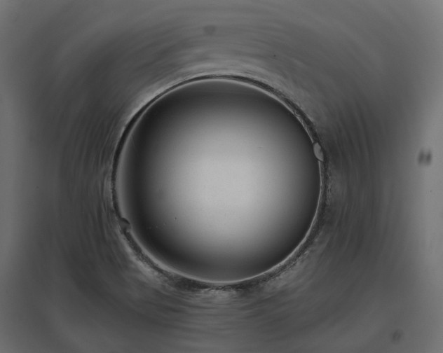 X0000097771513200803071306