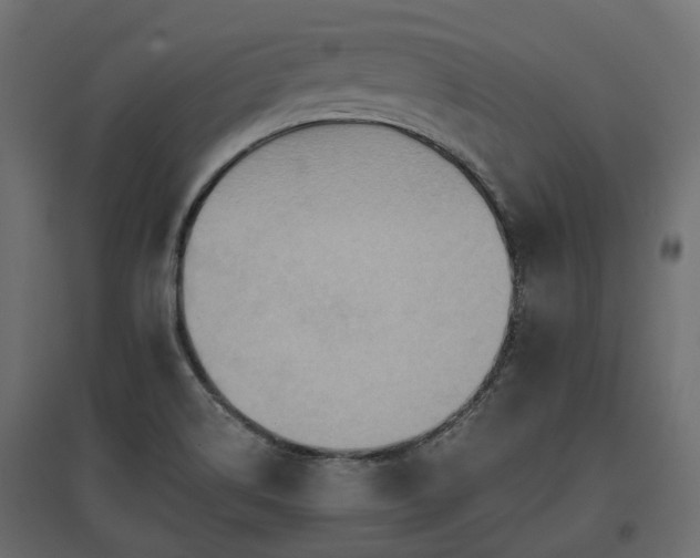 X0000097771514200803071306