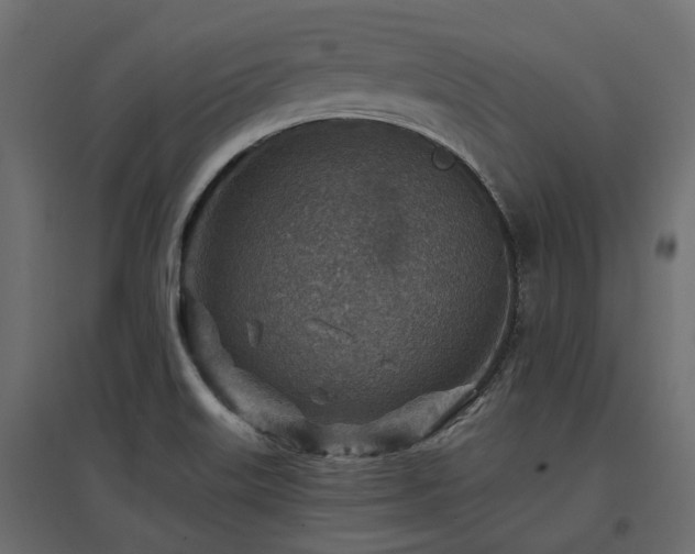 X0000097771515200803071306