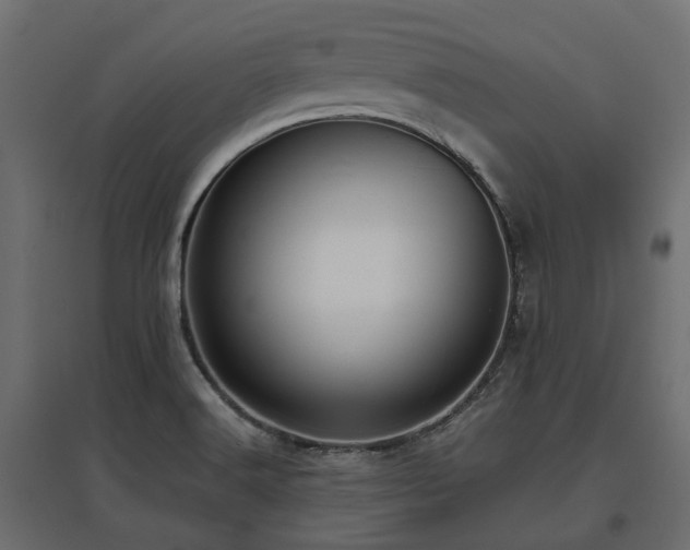 X0000097771516200803071306