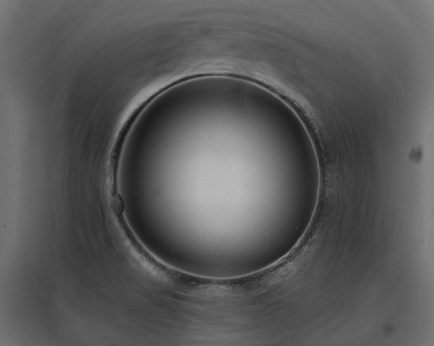 X0000097771517200803071306