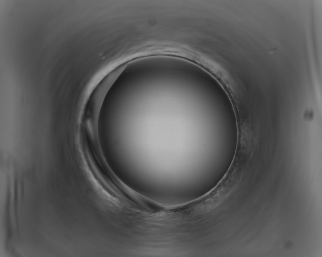 X0000097771520200803071306