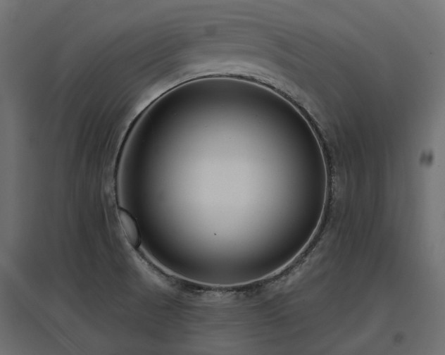 X0000097771521200803071306