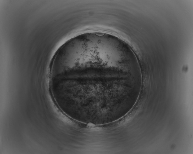 X0000097771522200803071306