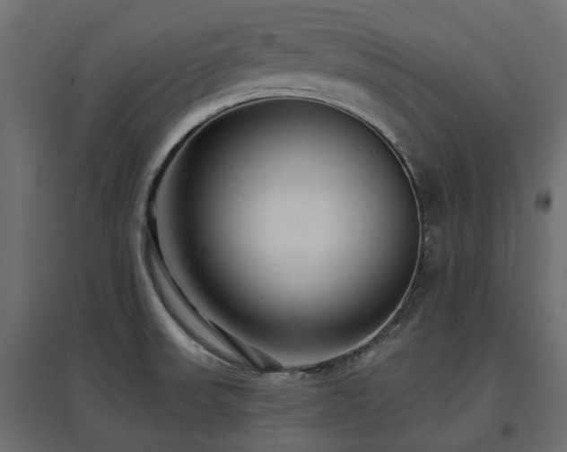 X0000097771523200803071306