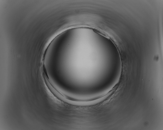 X0000097771524200803071306