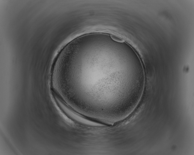 X0000097771525200803071306
