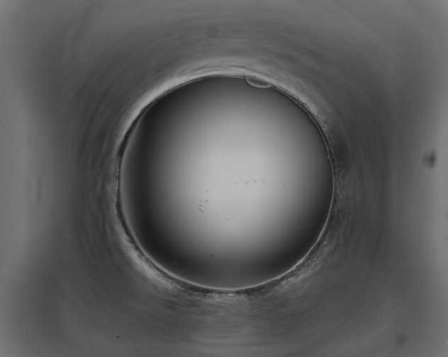 X0000097771526200803071306