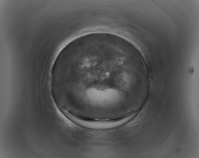 X0000097771527200803071306