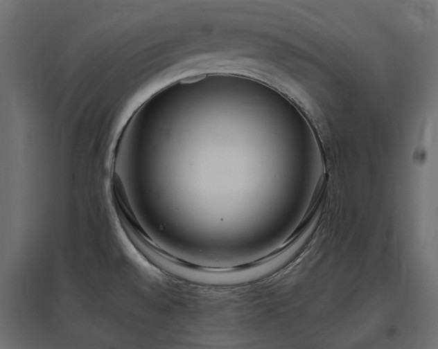 X0000097771528200803071306