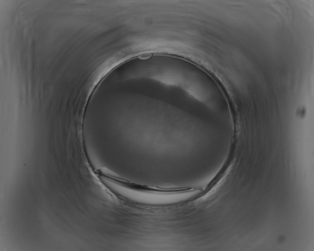 X0000097771529200803071306