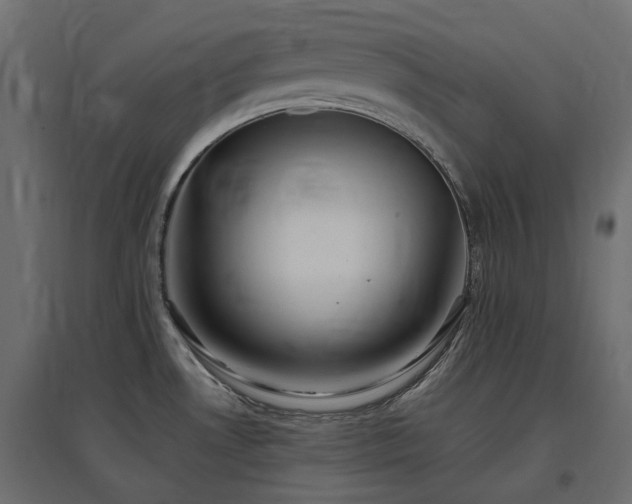 X0000097771530200803071306