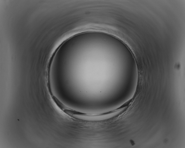 X0000097771531200803071306