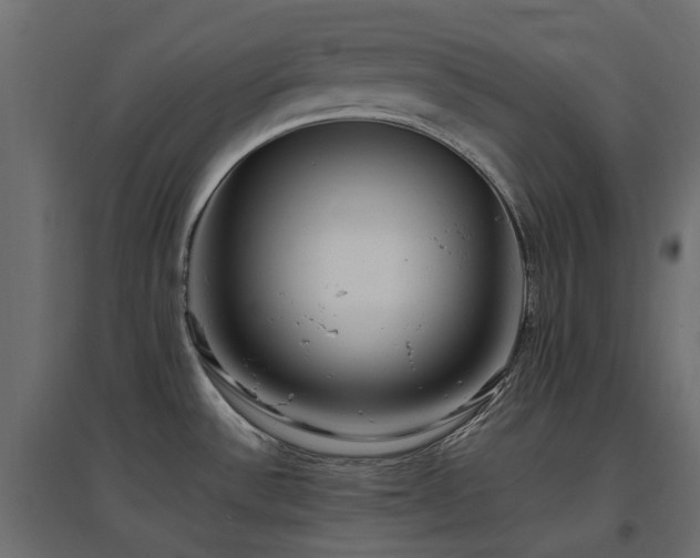 X0000097771532200803071306