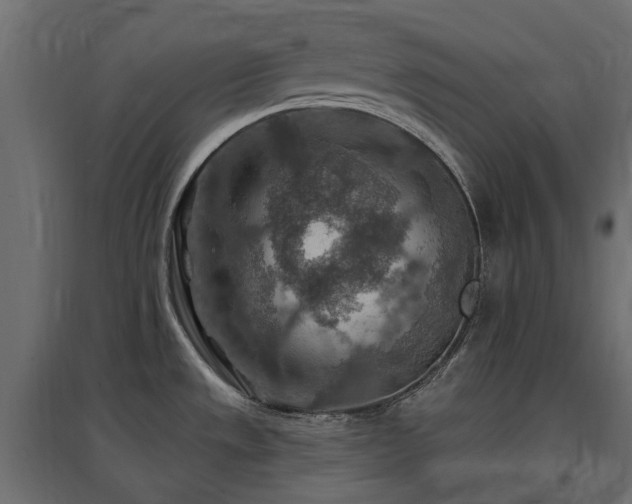 X0000097771533200803071306