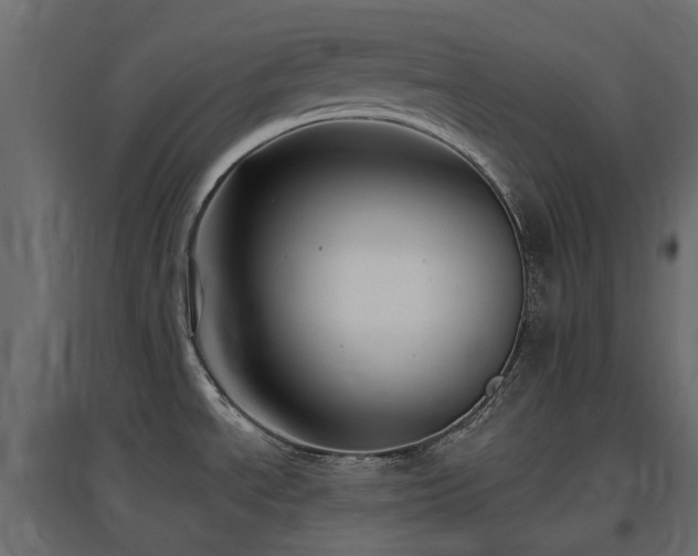 X0000097771534200803071306