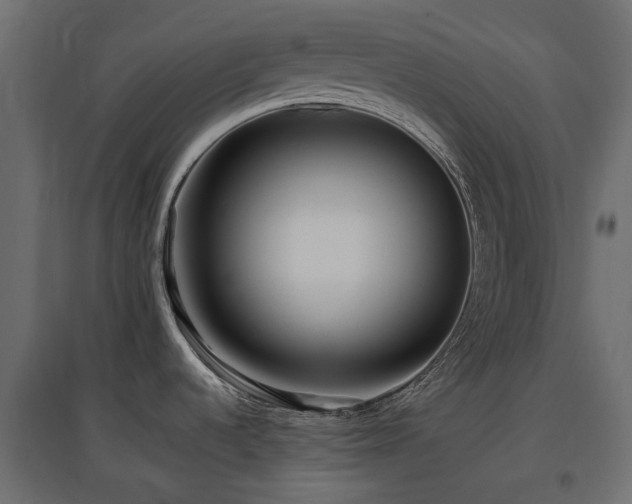X0000097771536200803071306