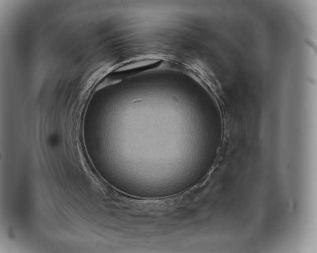 X0000097770001200803141755