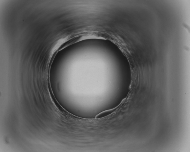 X0000097770003200803141755