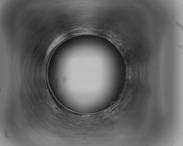 X0000097770004200803141755