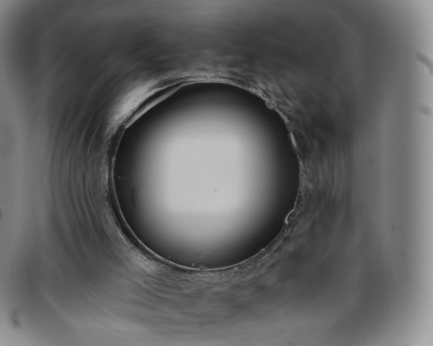 X0000097770005200803141755