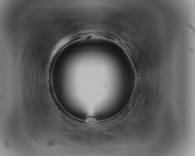X0000097770006200803141755