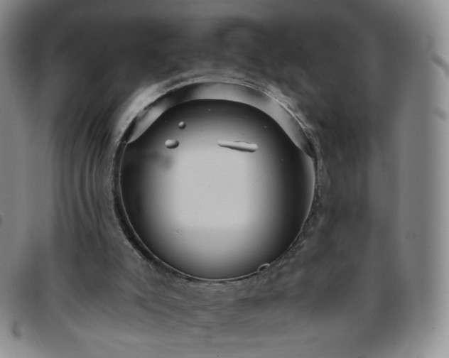 X0000097770007200803141755