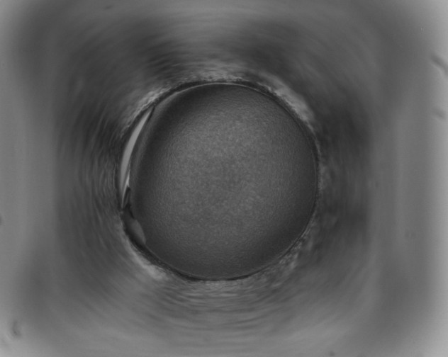 X0000097770009200803141755