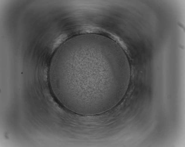 X0000097770010200803141755