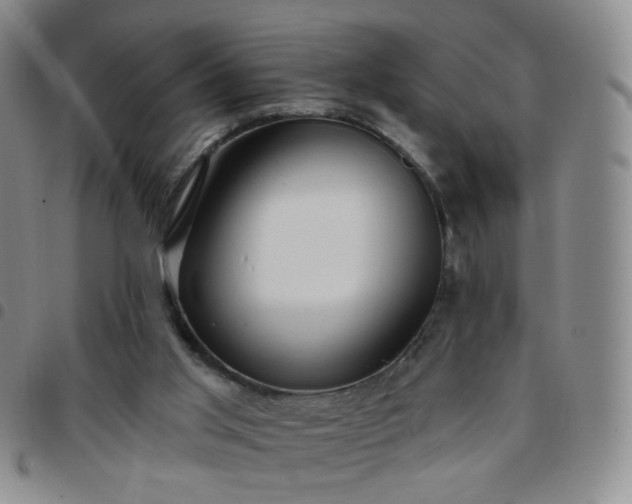 X0000097770013200803141755