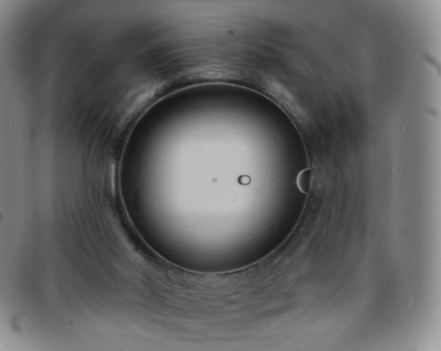 X0000097770014200803141755