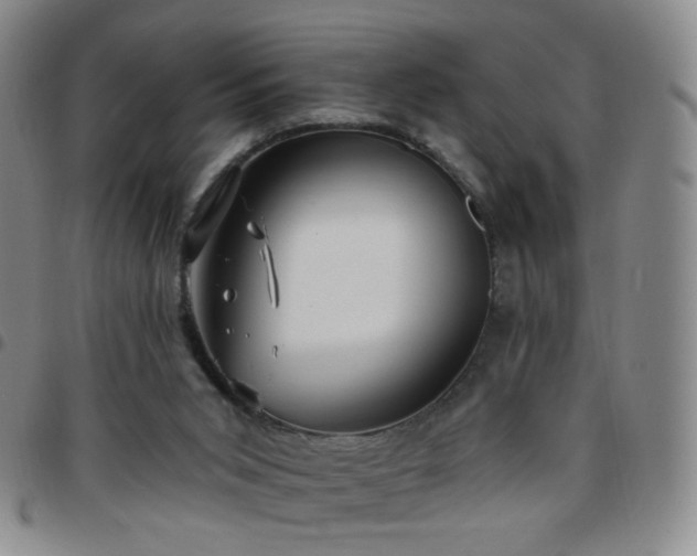 X0000097770015200803141755