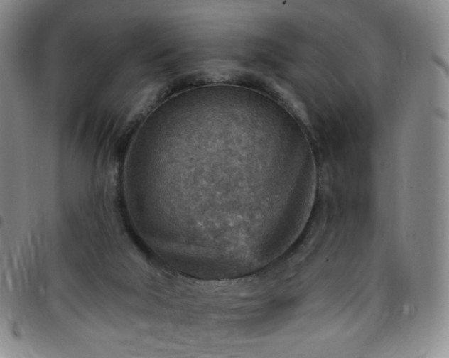 X0000097770018200803141755