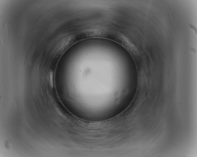 X0000097770022200803141755