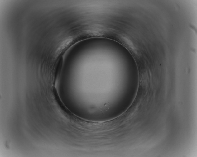 X0000097770023200803141755