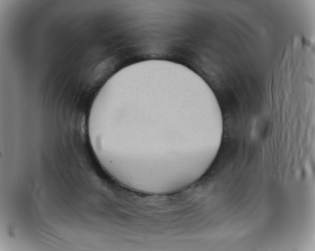 X0000097770024200803141755