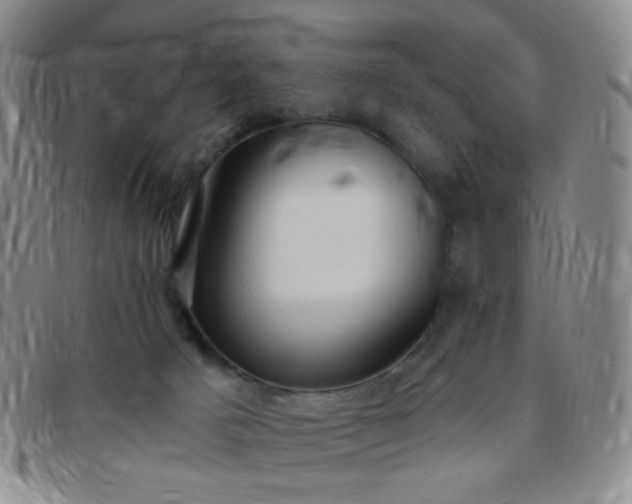 X0000097770025200803141755
