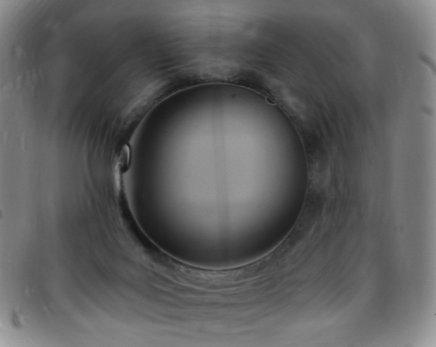 X0000097770027200803141755
