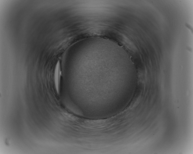 X0000097770029200803141755