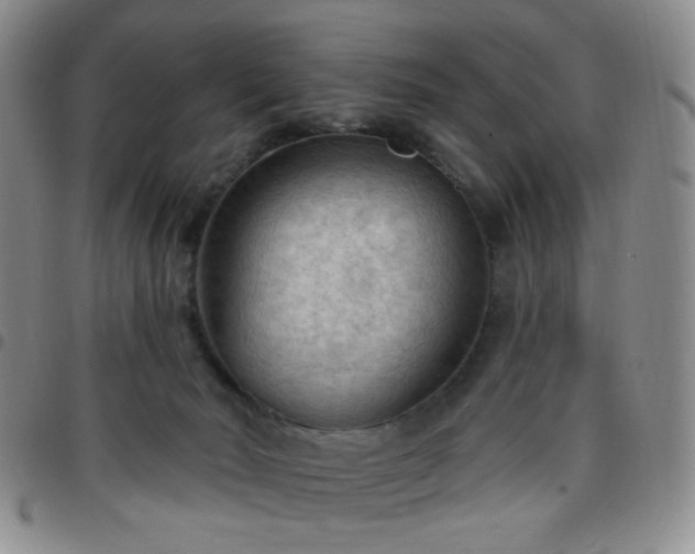 X0000097770030200803141755