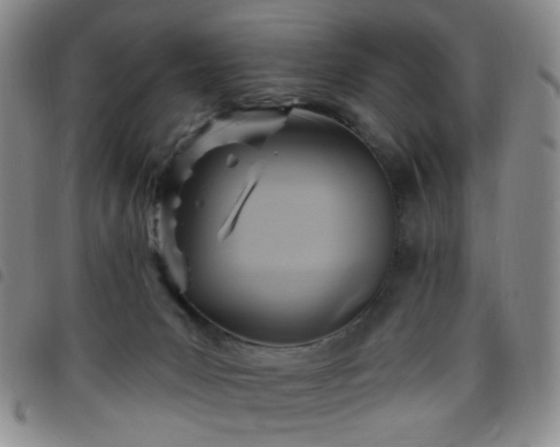 X0000097770031200803141755